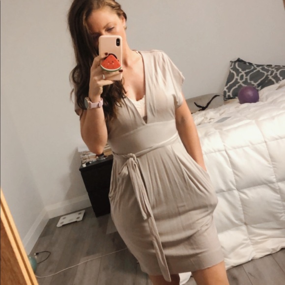 Aritzia Dresses & Skirts - Aritzia WILFRED Jasmin Dress